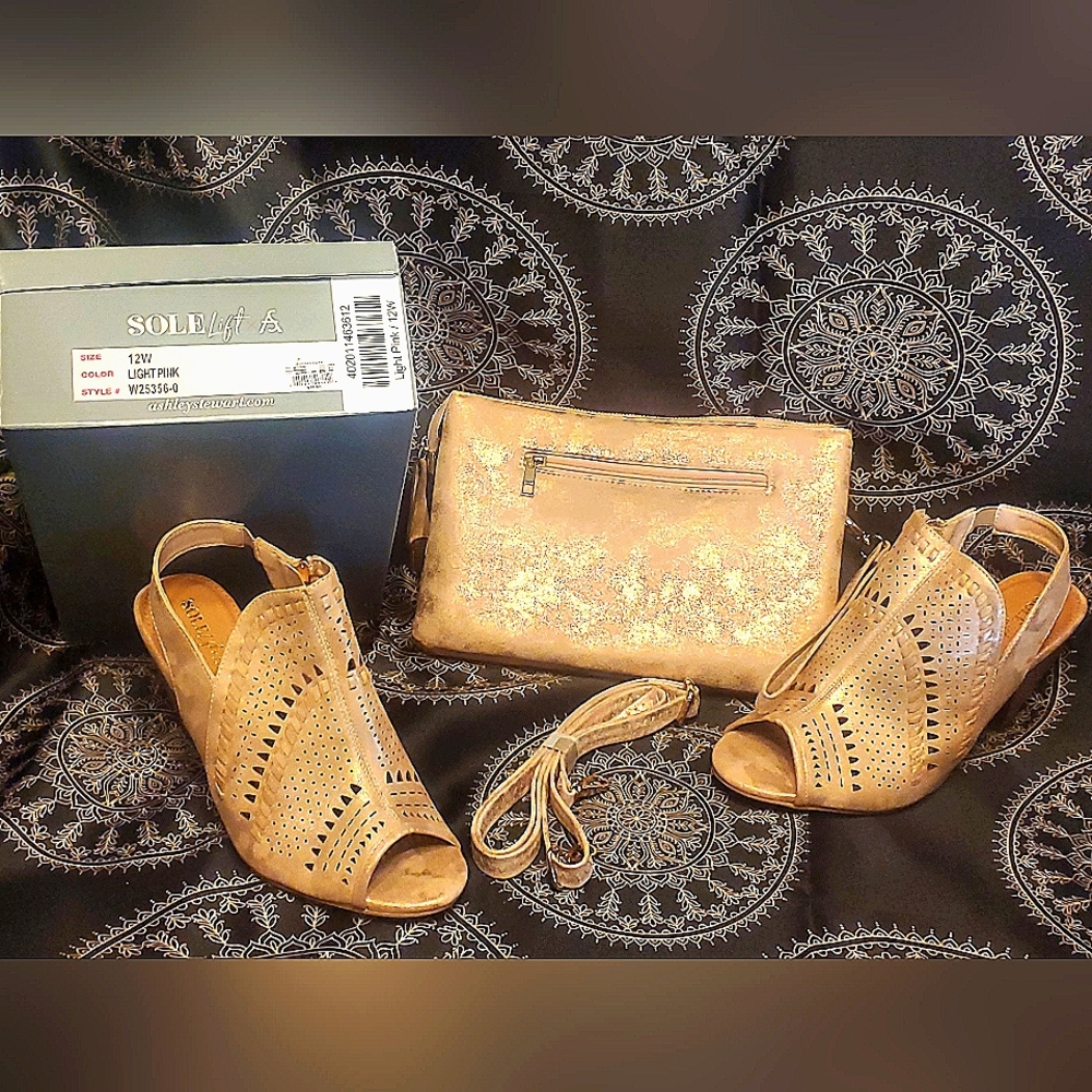 Rose Pink shoe and Bag